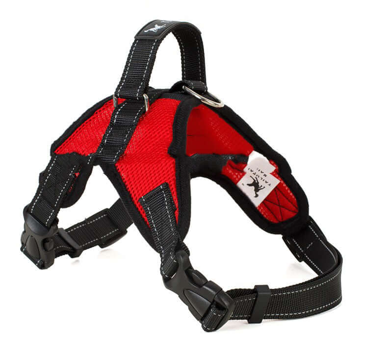 New Mesh Saddle Dog Leash - Mrgoluckynow New Mesh Saddle Dog Leash0Mrgoluckynow CJJT121134701AZ