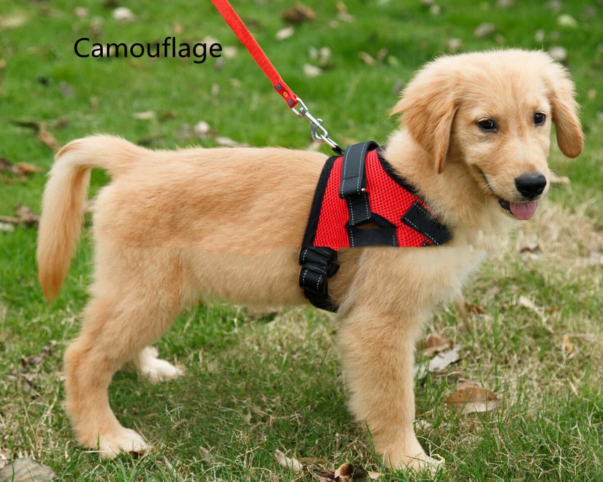 New Mesh Saddle Dog Leash - Mrgoluckynow New Mesh Saddle Dog Leash0Mrgoluckynow CJJT121134701AZ