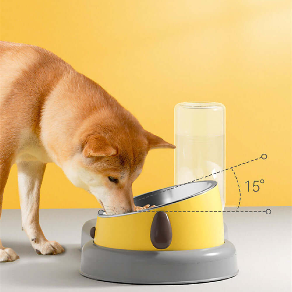 Protect Cervical Spine Dog Bowl - Mrgoluckynow Protect Cervical Spine Dog Bowl0Mrgoluckynow CJJT170009203CX