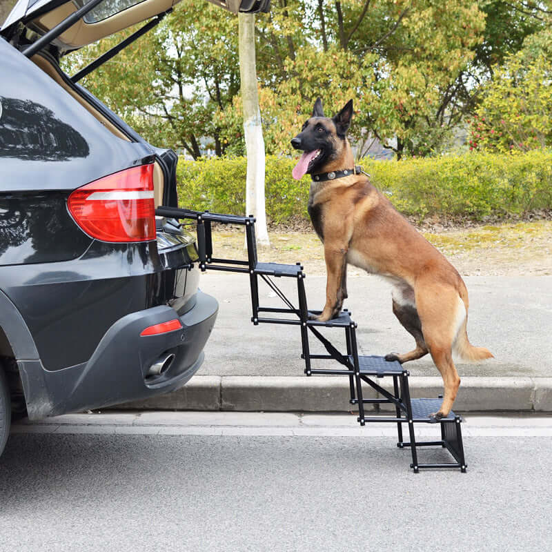 Pet Dog Car Climbing Ladder Foldable - Mrgoluckynow Pet Dog Car Climbing Ladder Foldable0Mrgoluckynow CJJT157977801AZ