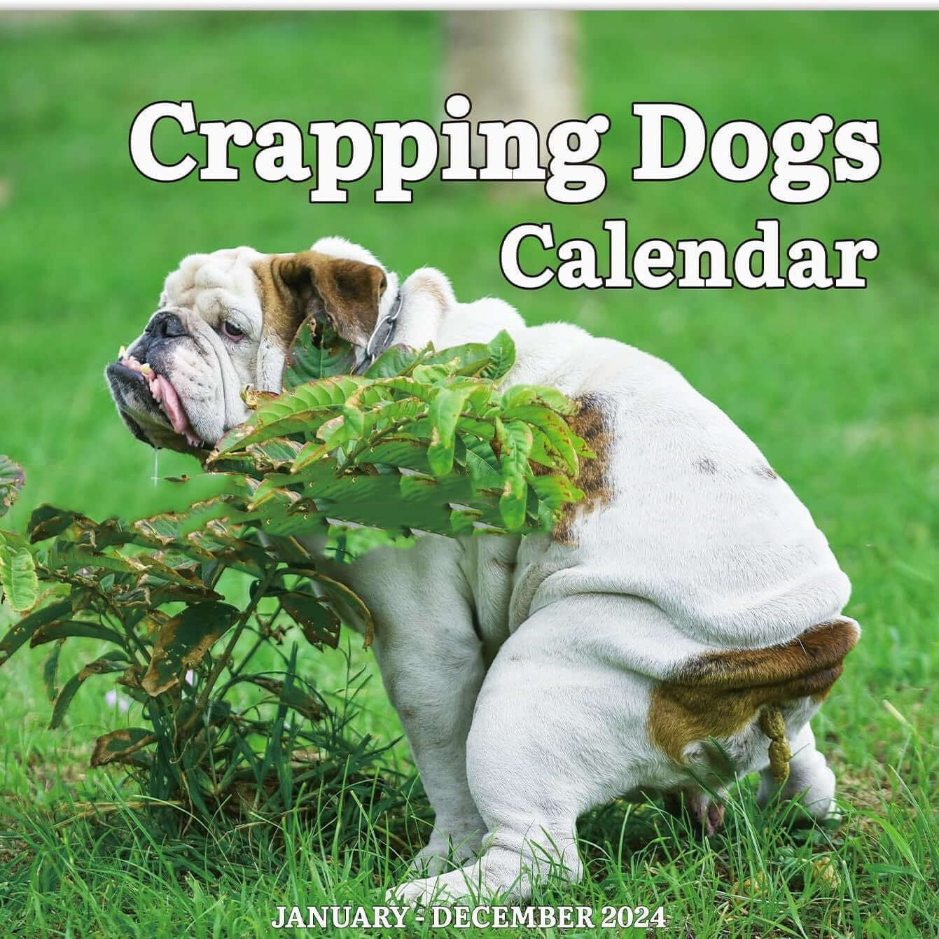 New Year Dog Poop Calendar - Mrgoluckynow New Year Dog Poop Calendar0Mrgoluckynow CJYD187063001AZ